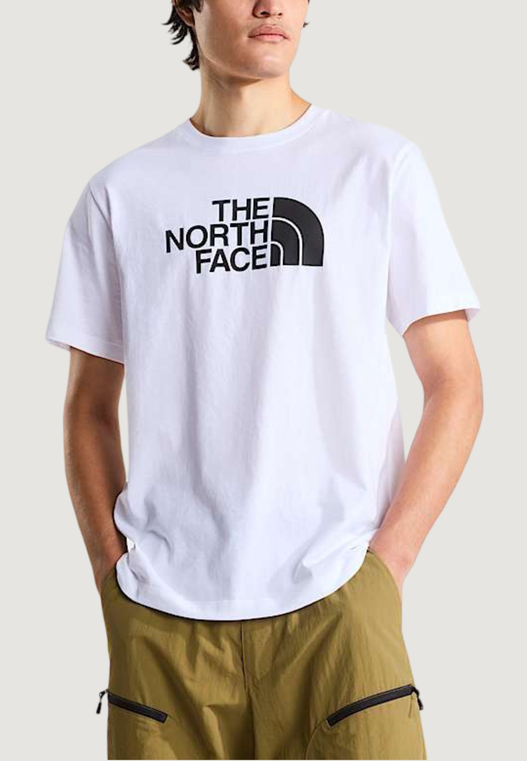 T-shirt THE NORTH FACE M EVOLUTION HALF DOME REGULAR SHORT SLEE