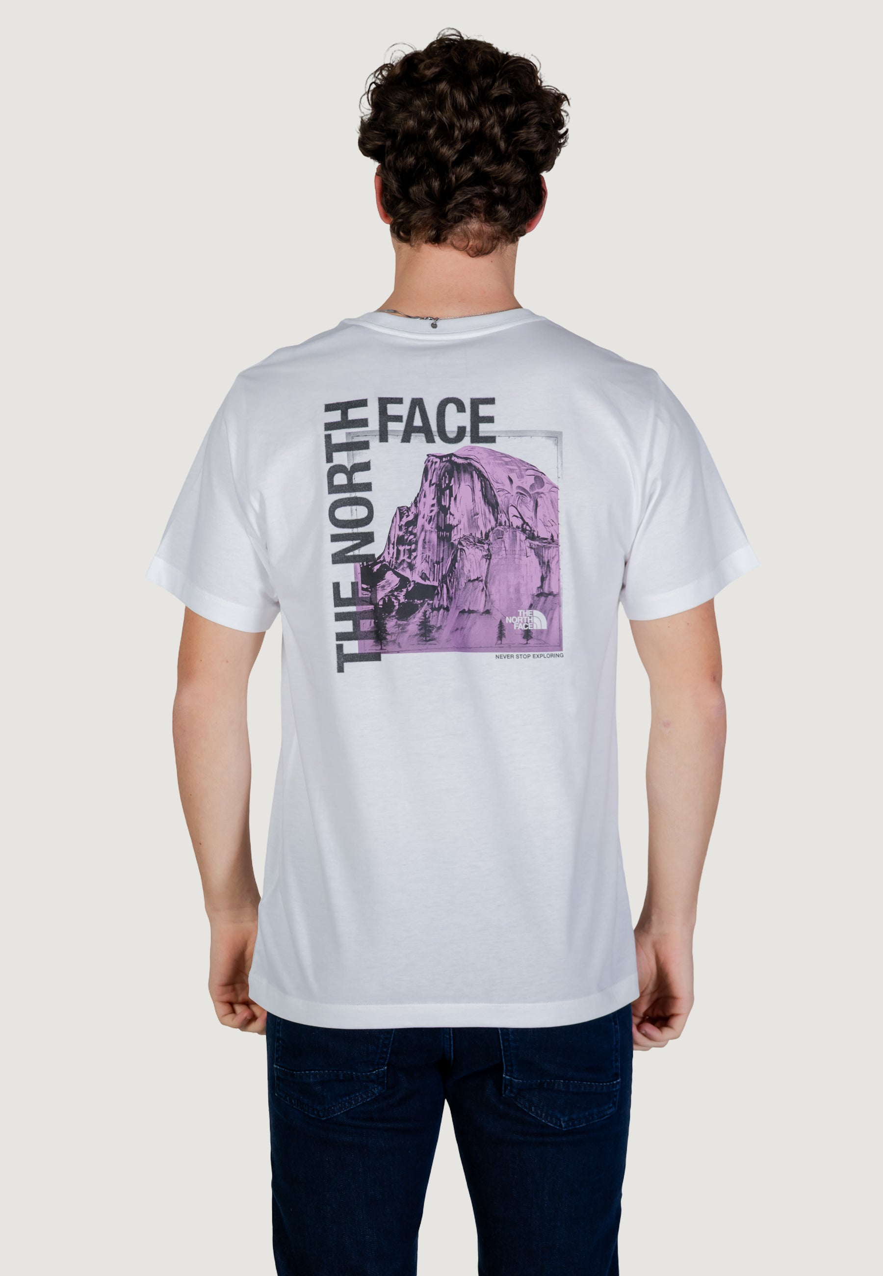T-shirt THE NORTH FACE M HALF DOME PHOTO REGULAR SHORT SLEEVE T