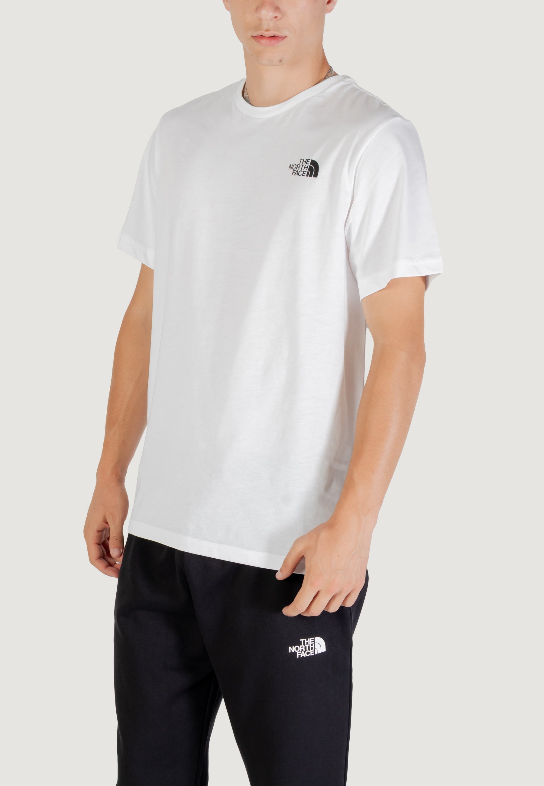 T-shirt THE NORTH FACE M SS BOX NSE TEE