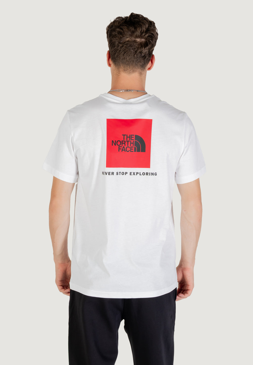 T-shirt THE NORTH FACE M SS BOX NSE TEE