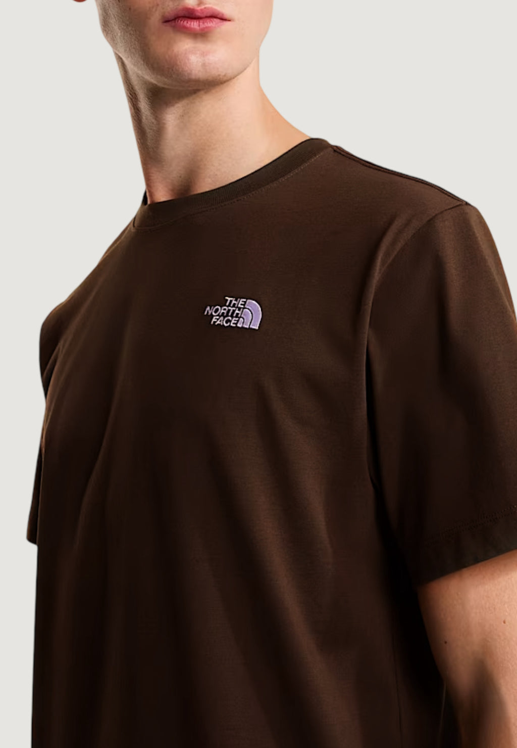 T-shirt The North Face M EVOLUTION SIMPLE DOME REGULAR SHORT SL