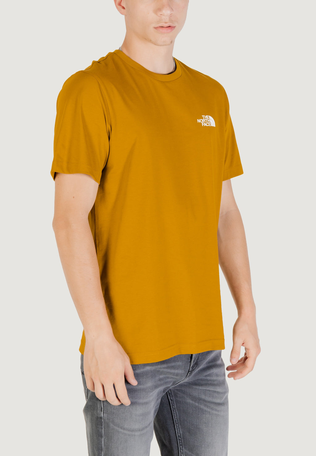 T-shirt THE NORTH FACE M SS SIMPLE DOME TEE