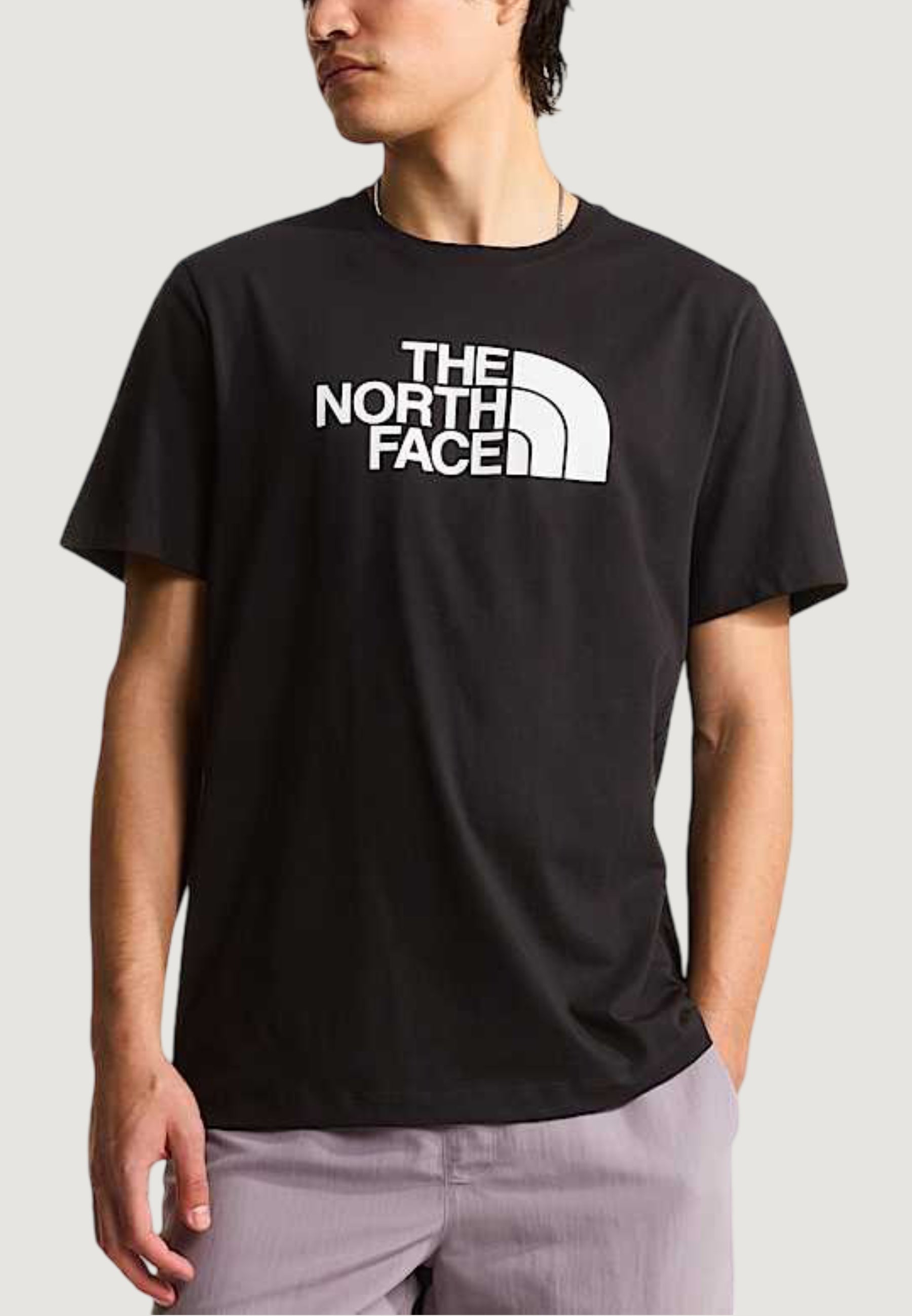 T-shirt THE NORTH FACE M EVOLUTION HALF DOME REGULAR SHORT SLEE