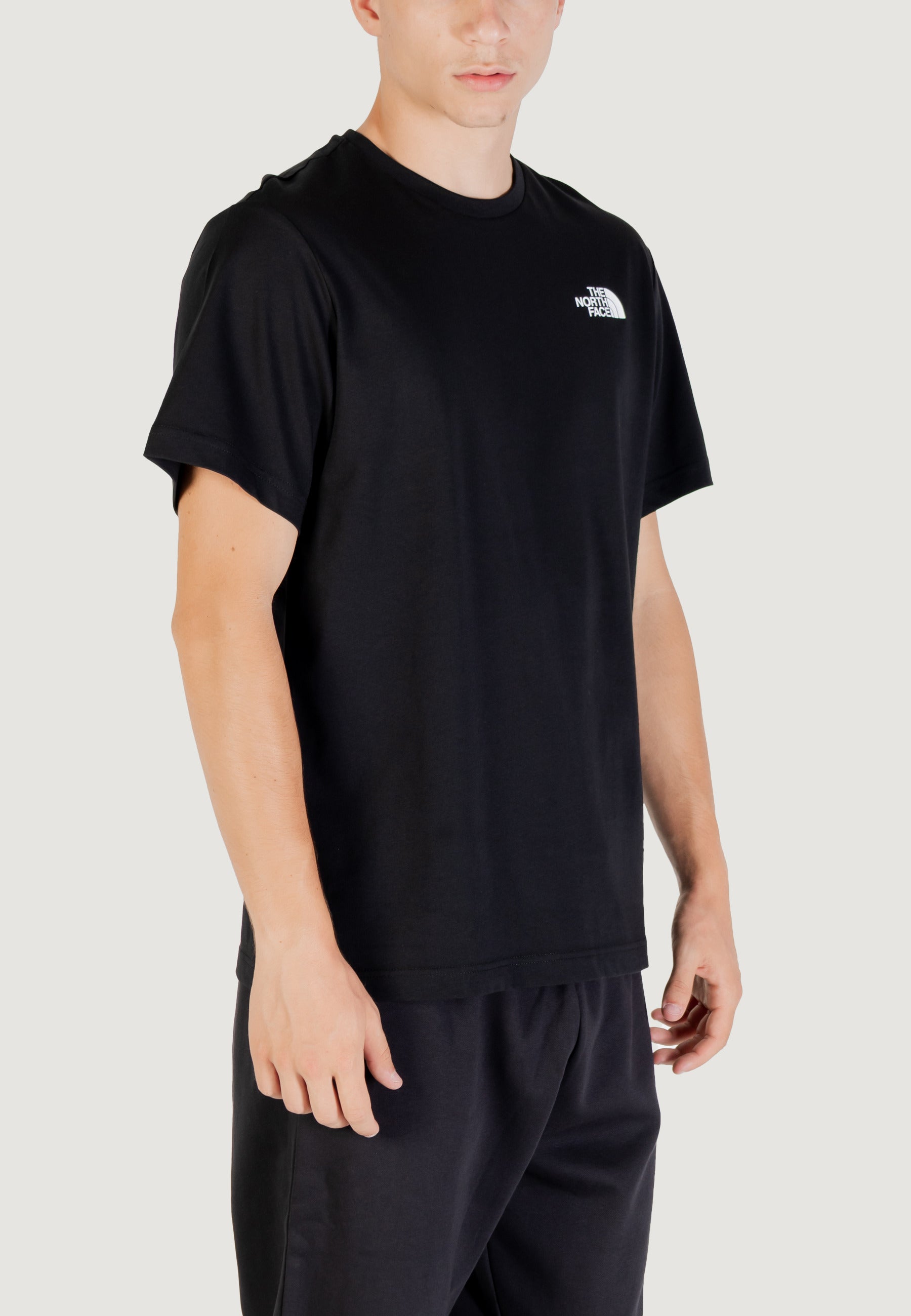 T-shirt THE NORTH FACE M SS BOX NSE TEE