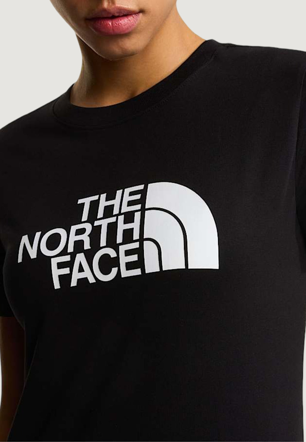 T-shirts THE NORTH FACE W EVOLUTION HALF DOME SLIM SHORT SLEEVE