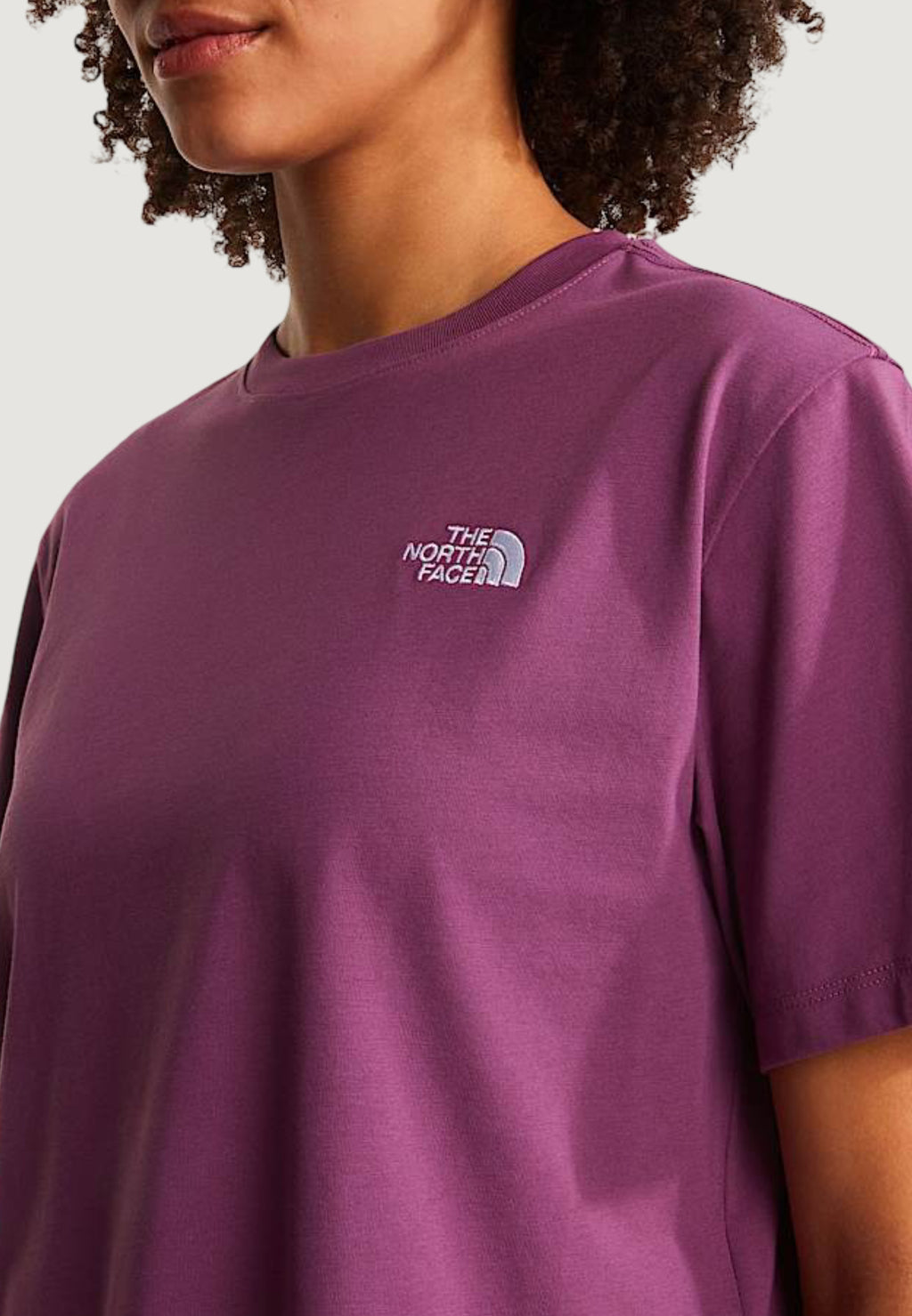 T-shirts THE NORTH FACE W EVOLUTION SIMPLE DOME CROP RLX SS TEE