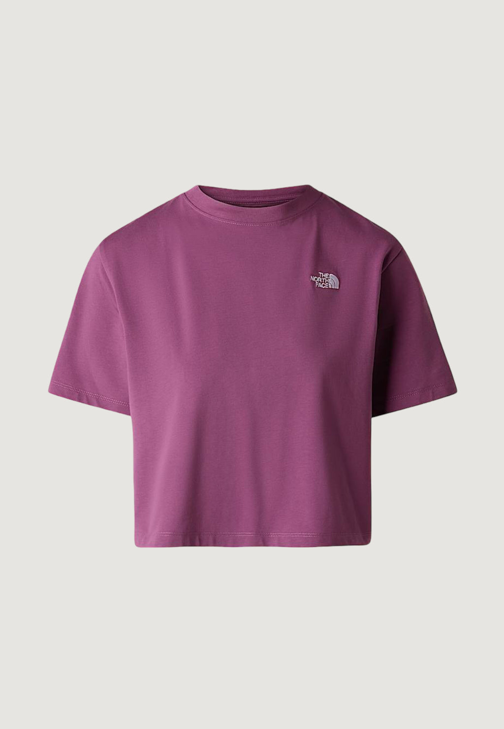 T-shirts THE NORTH FACE W EVOLUTION SIMPLE DOME CROP RLX SS TEE