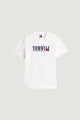 T-shirt Tommy Hilfiger Jeans TJM REG TOMMY DNA FL