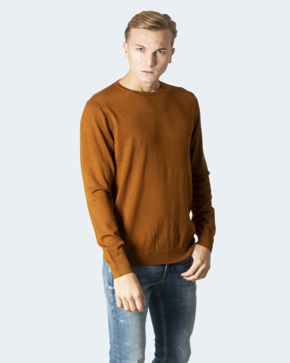 Maglia Only & Sons ONSWYLER LIFE LS CREW KNIT NOOS Marrone - Foto 1