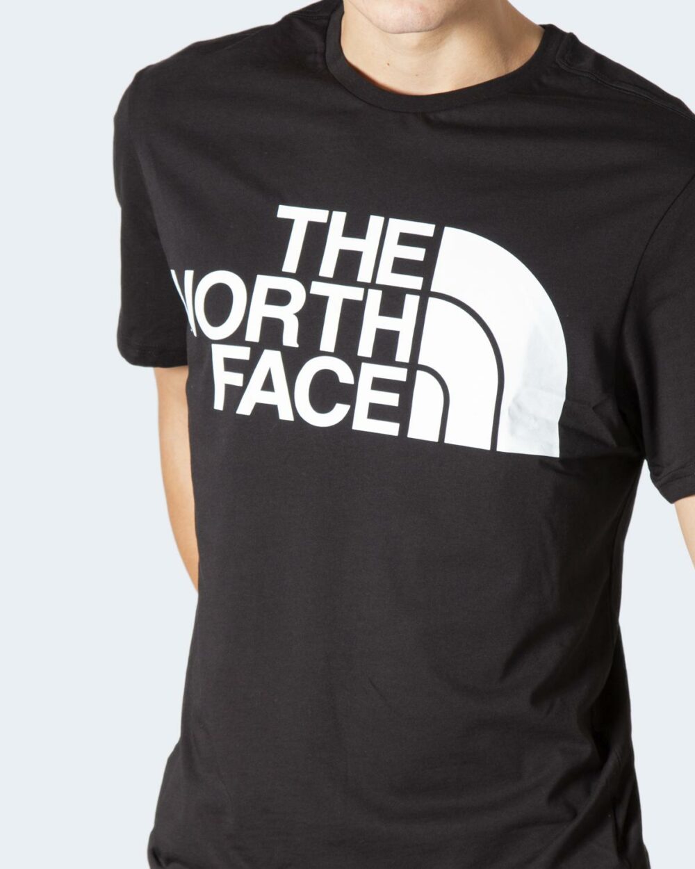 T-shirt THE NORTH FACE STAMDARD SS TEE Nero - Foto 3
