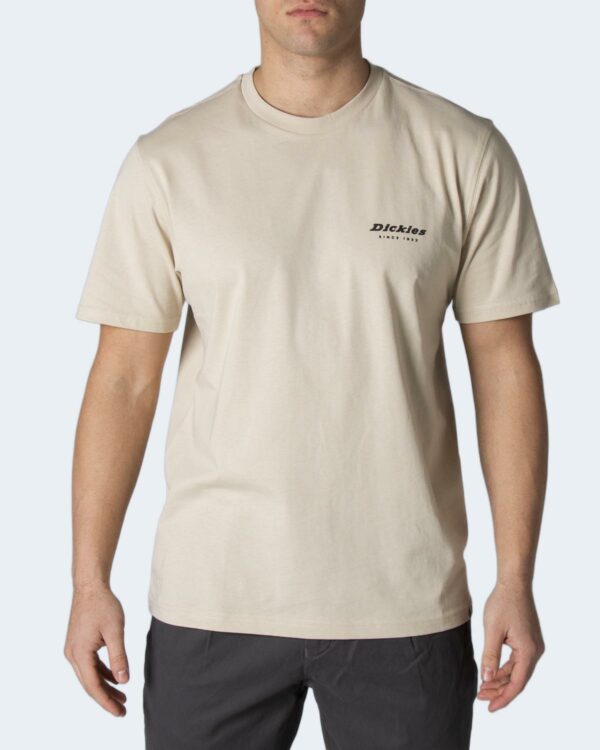 T-shirt Dickies ARTONDALE BOX TEE SS  DK0A4XNYC391 Beige - Foto 1
