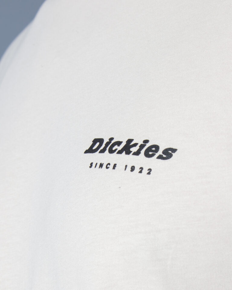 T-shirt Dickies ARTONDALE BOX TEE SS  DK0A4XNYC391 Beige - Foto 5