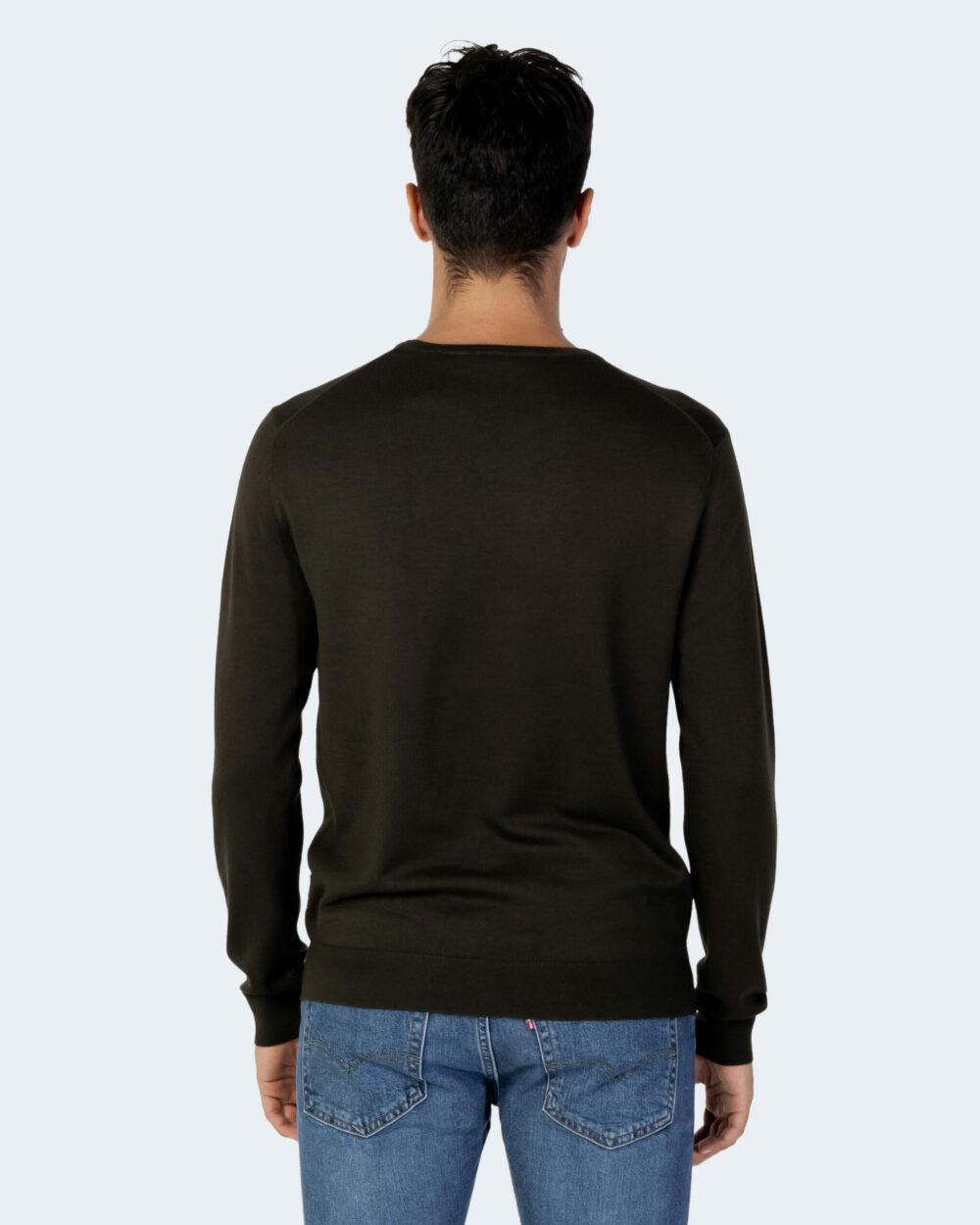 Maglia Only & Sons ONSWYLER LIFE LS CREW KNIT NOOS Verde Scuro - Foto 3