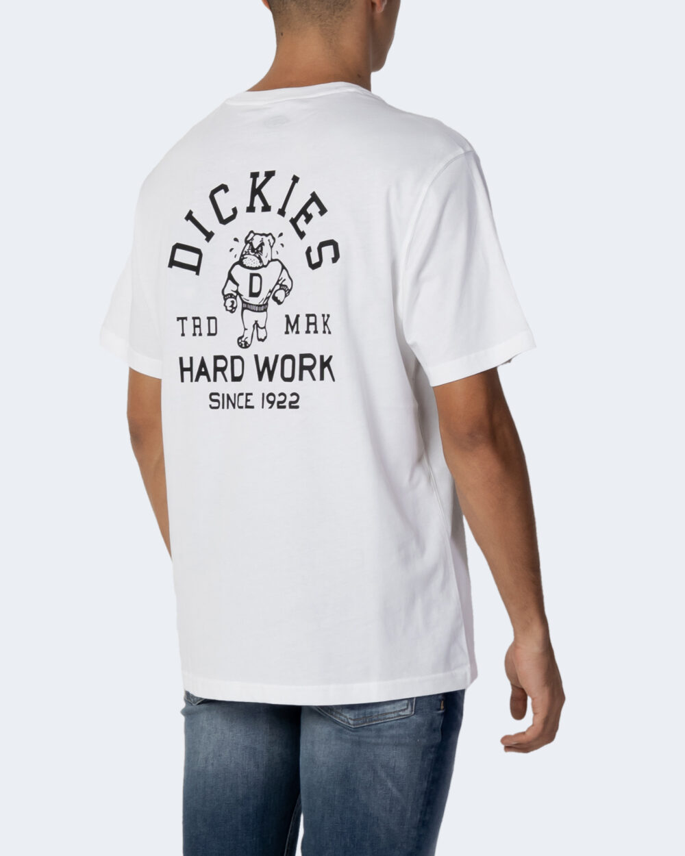 T-shirt Dickies CLEVELAND TEE SS Bianco - Foto 4
