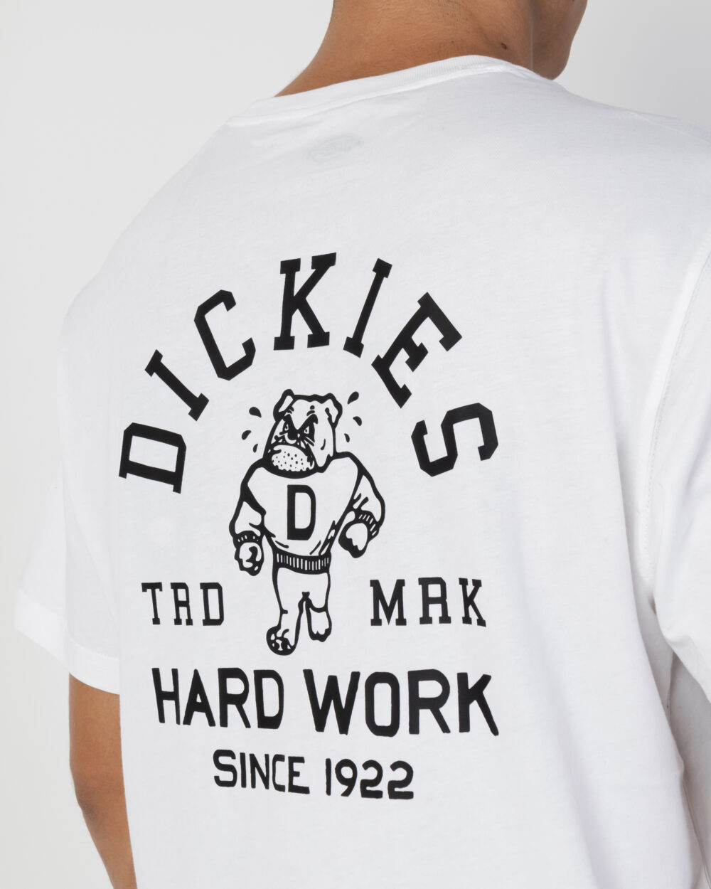 T-shirt Dickies CLEVELAND TEE SS Bianco - Foto 5