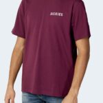 T-shirt Dickies CLEVELAND TEE SS Bordeaux - Foto 1