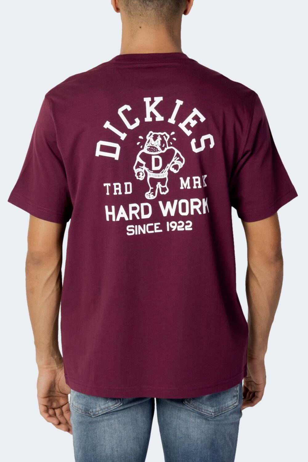 T-shirt Dickies CLEVELAND TEE SS Bordeaux - Foto 4