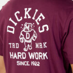T-shirt Dickies CLEVELAND TEE SS Bordeaux - Foto 5