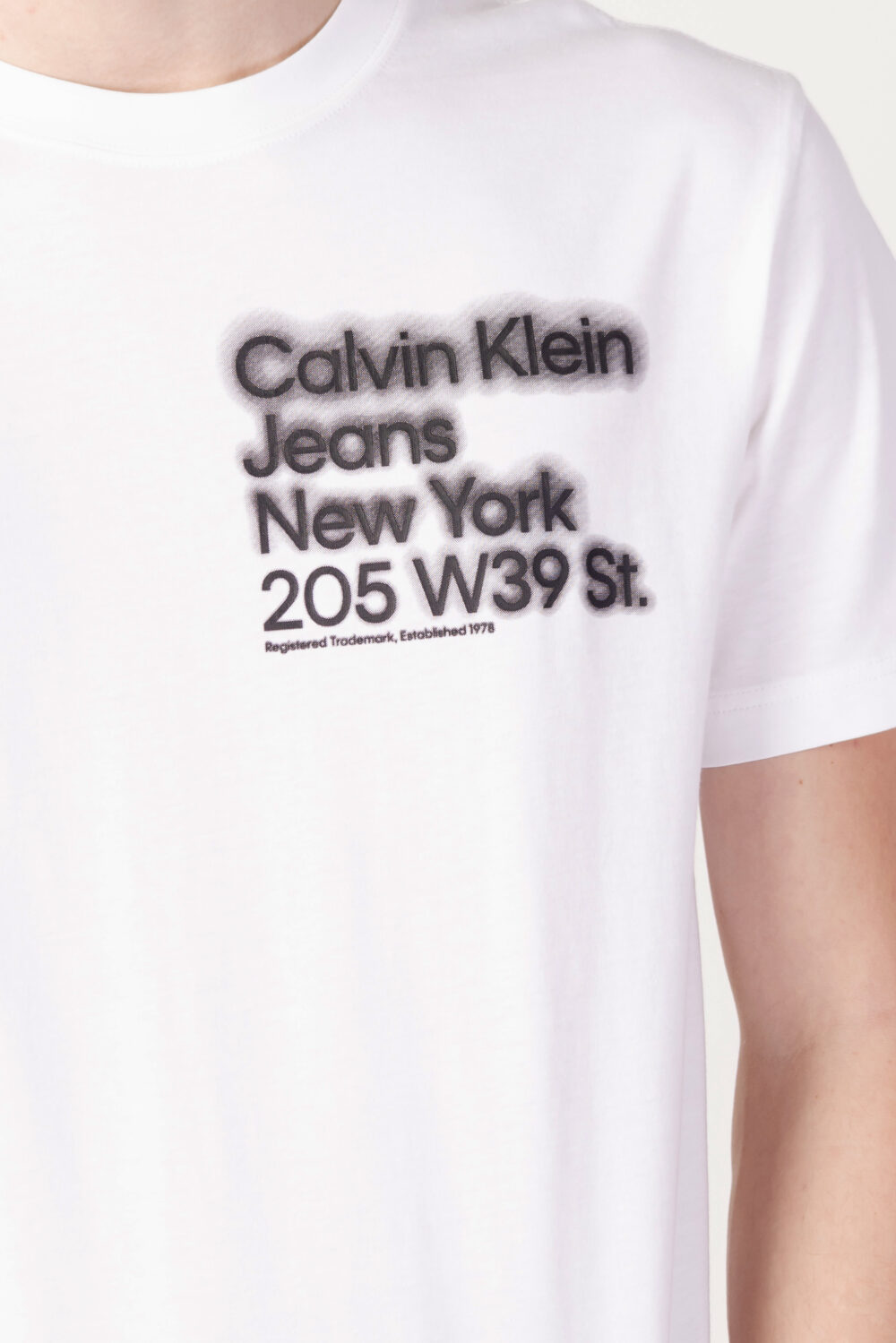 T-shirt Calvin Klein Jeans BLURRED ADDRESS LOGO Bianco - Foto 2