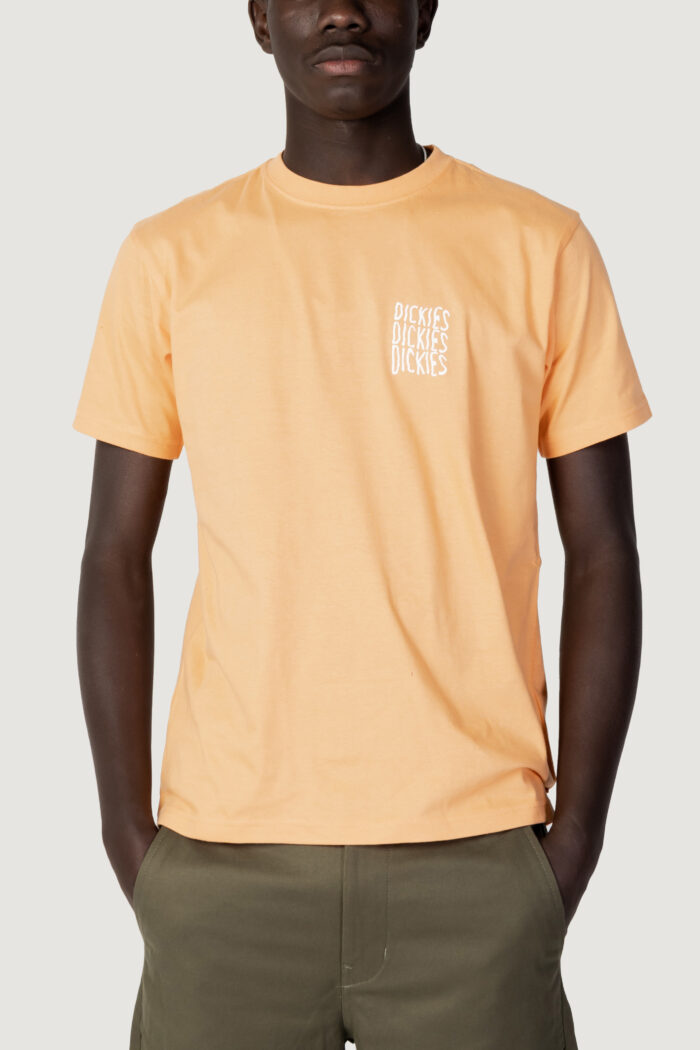 T-shirt Dickies CRESWELL TEE SS Arancione – 111443