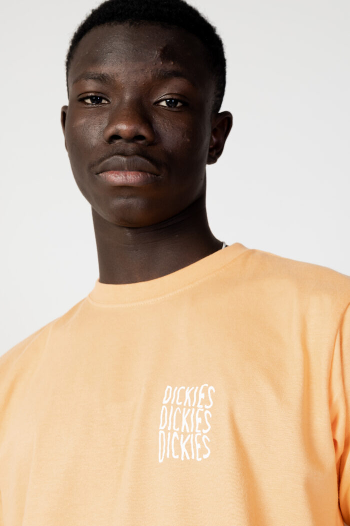 T-shirt Dickies CRESWELL TEE SS Arancione – 111443