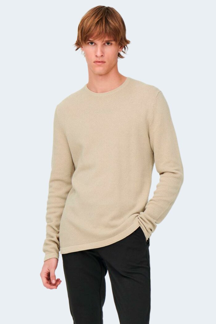 Maglia Only & Sons ONSPANTER REG 12 STRUC CREW KNIT NOOS Beige
