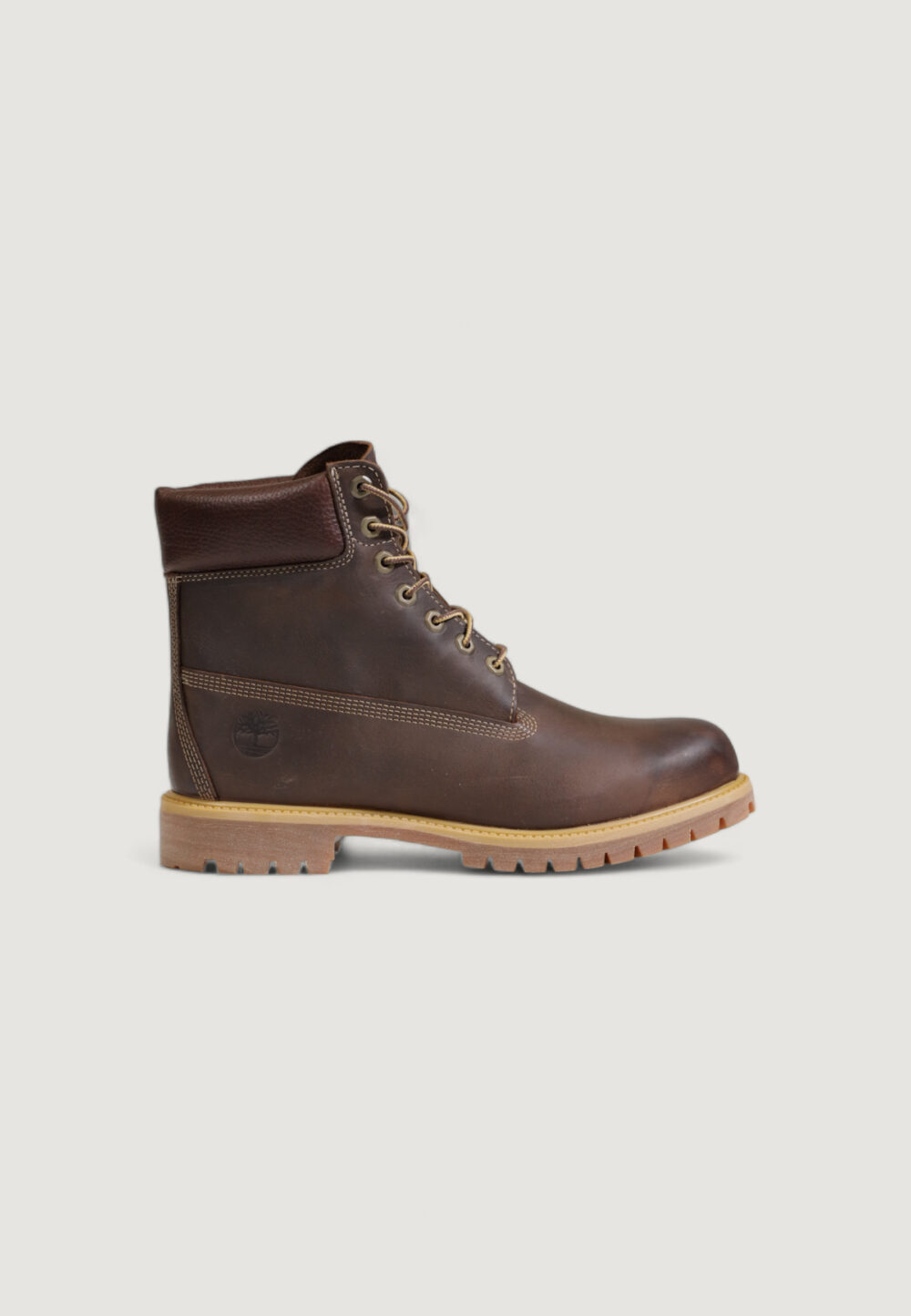 Anfibi TIMBERLAND 6 IN LACE WATERPROOF BOOT Marrone - Foto 1