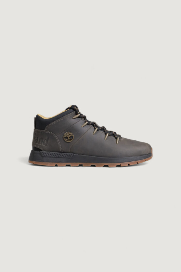 Sneakers Timberland MID LACE Antracite