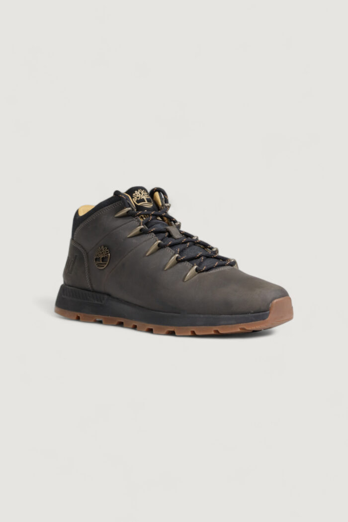 Sneakers Timberland MID LACE Antracite