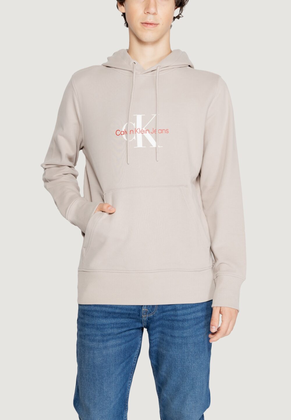 Felpa con cappuccio Calvin Klein DISTRESSED MONOLOGO Beige - Foto 5