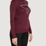 Dolcevita Guess PIPER TRIANGLE LOGO TN LS Bordeaux - Foto 3