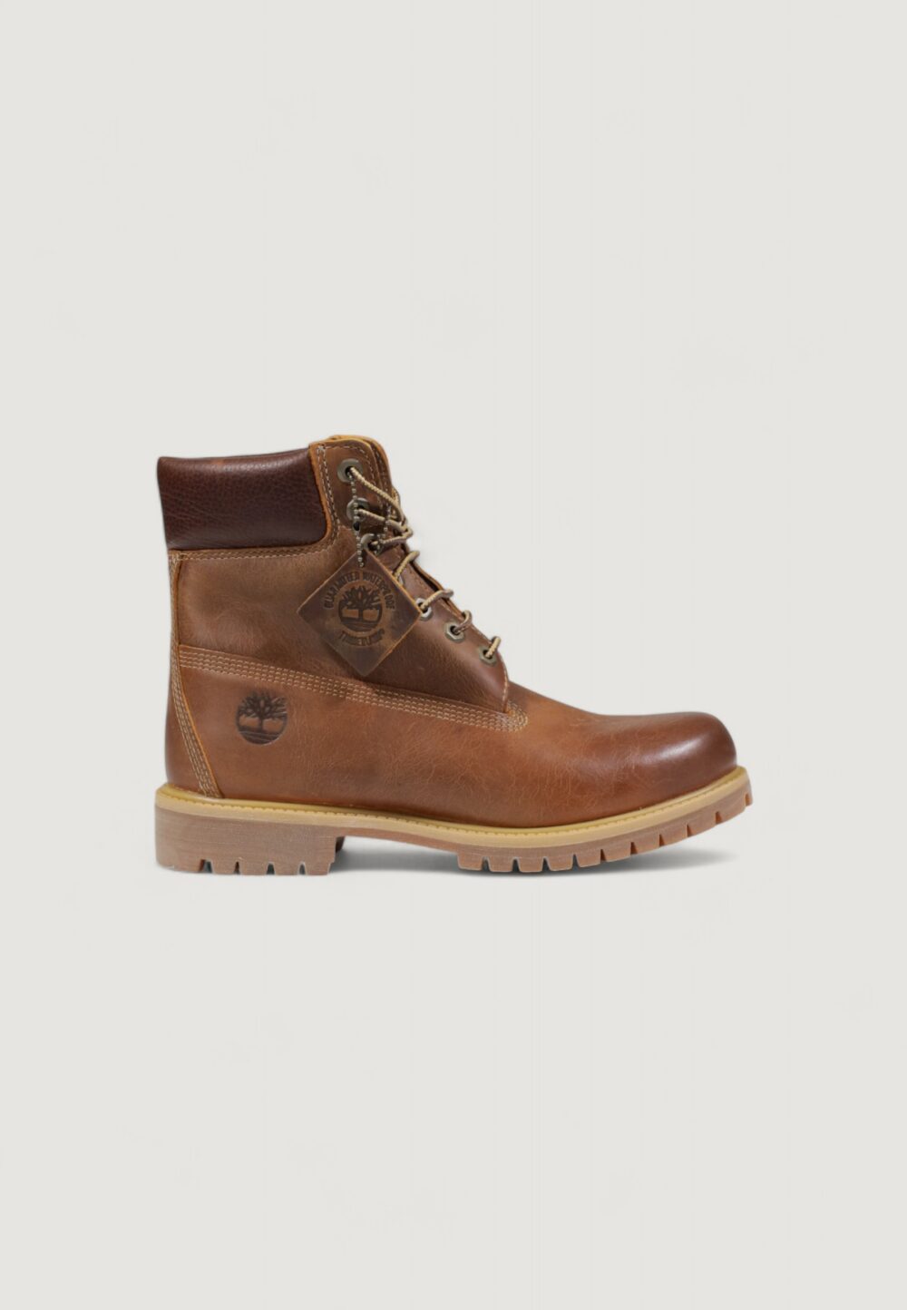 Anfibi TIMBERLAND 6 IN LACE WATERPROOF BOOT Marrone - Foto 1