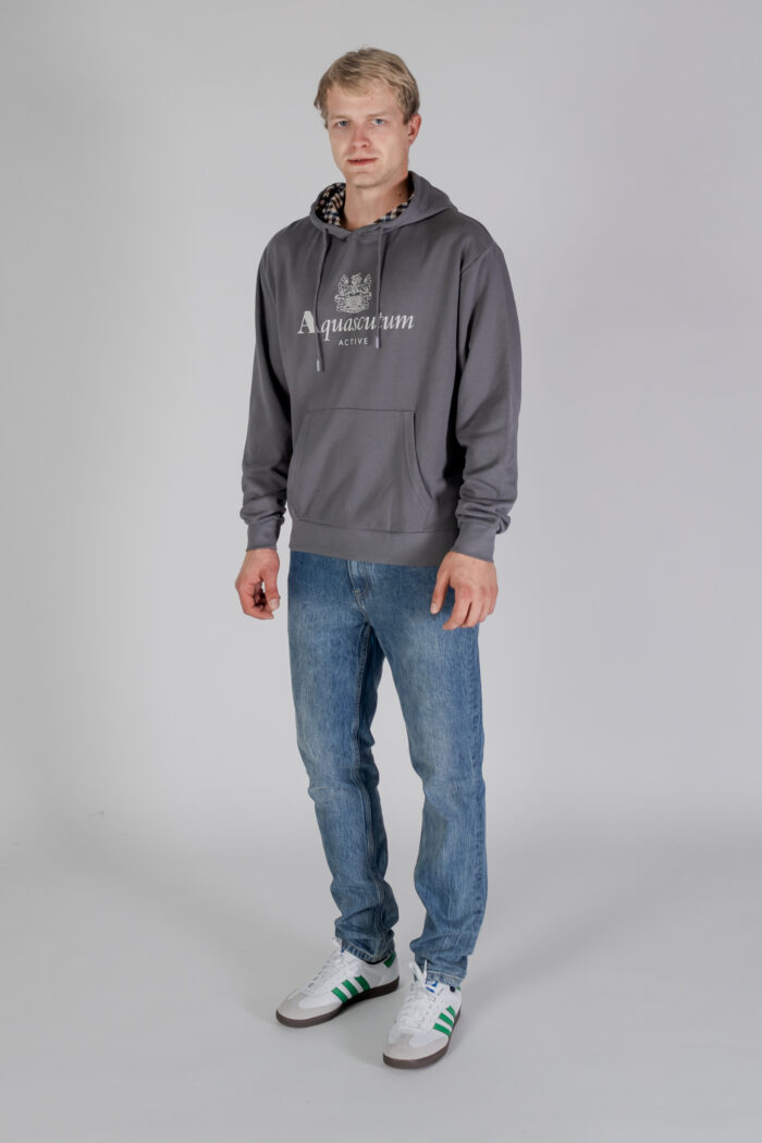 Felpa con cappuccio Aquascutum ACTIVE BIG LOGO HOODIE Antracite