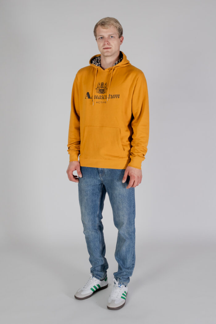 Felpa con cappuccio Aquascutum ACTIVE BIG LOGO HOODIE Senape