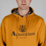 Felpa con cappuccio Aquascutum ACTIVE BIG LOGO HOODIE Senape - Foto 3