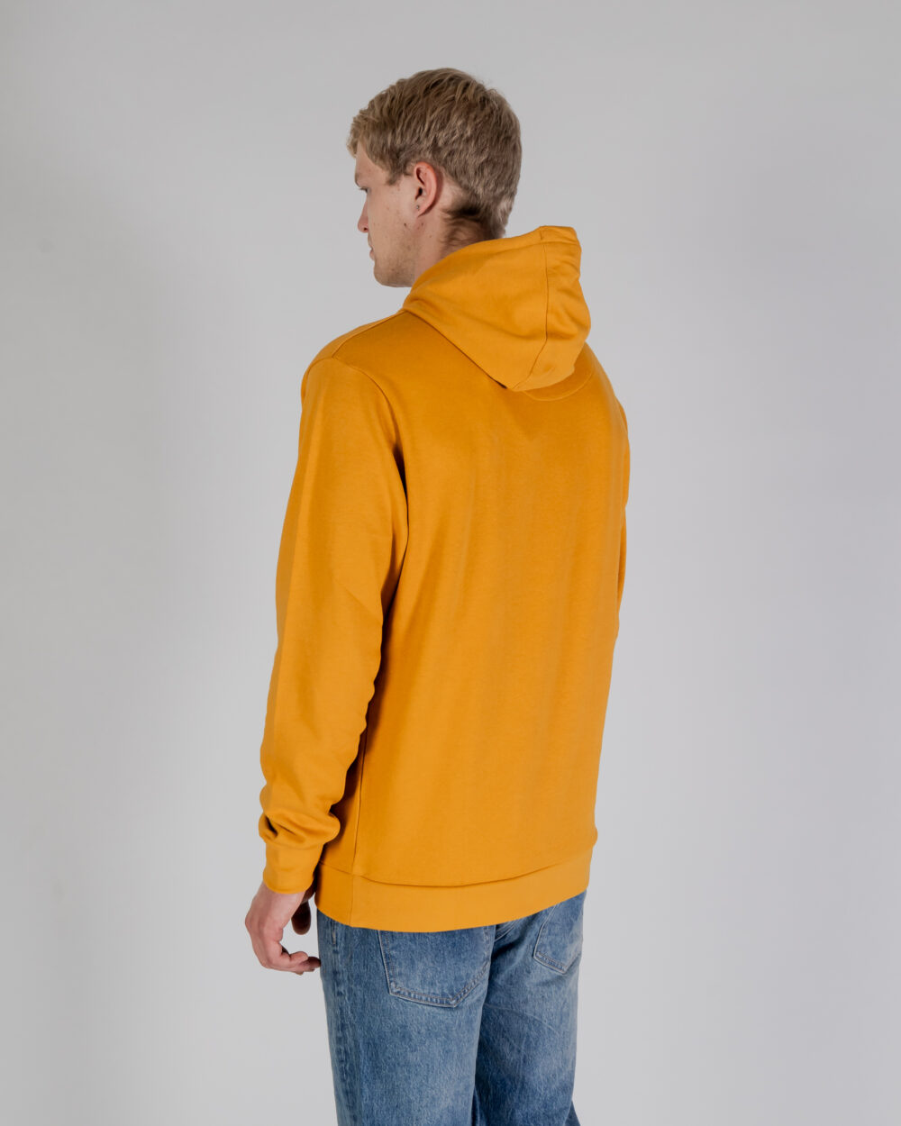 Felpa con cappuccio Aquascutum ACTIVE BIG LOGO HOODIE Senape - Foto 4