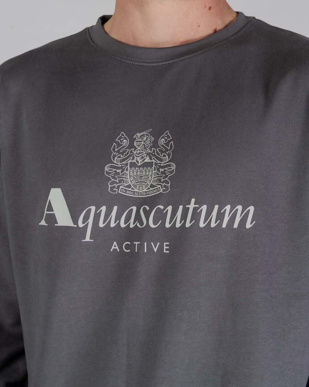 Felpa senza cappuccio Aquascutum ACTIVE BIG LOGO CREWNECK Antracite - Foto 4