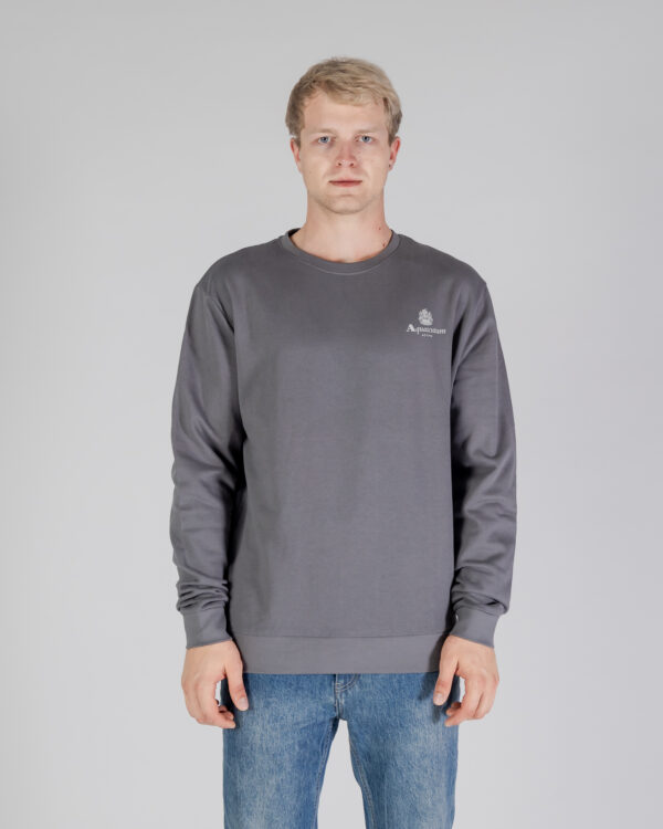 Felpa senza cappuccio Aquascutum ACTIVE SMALL LOGO CREWNECK Antracite - Foto 1