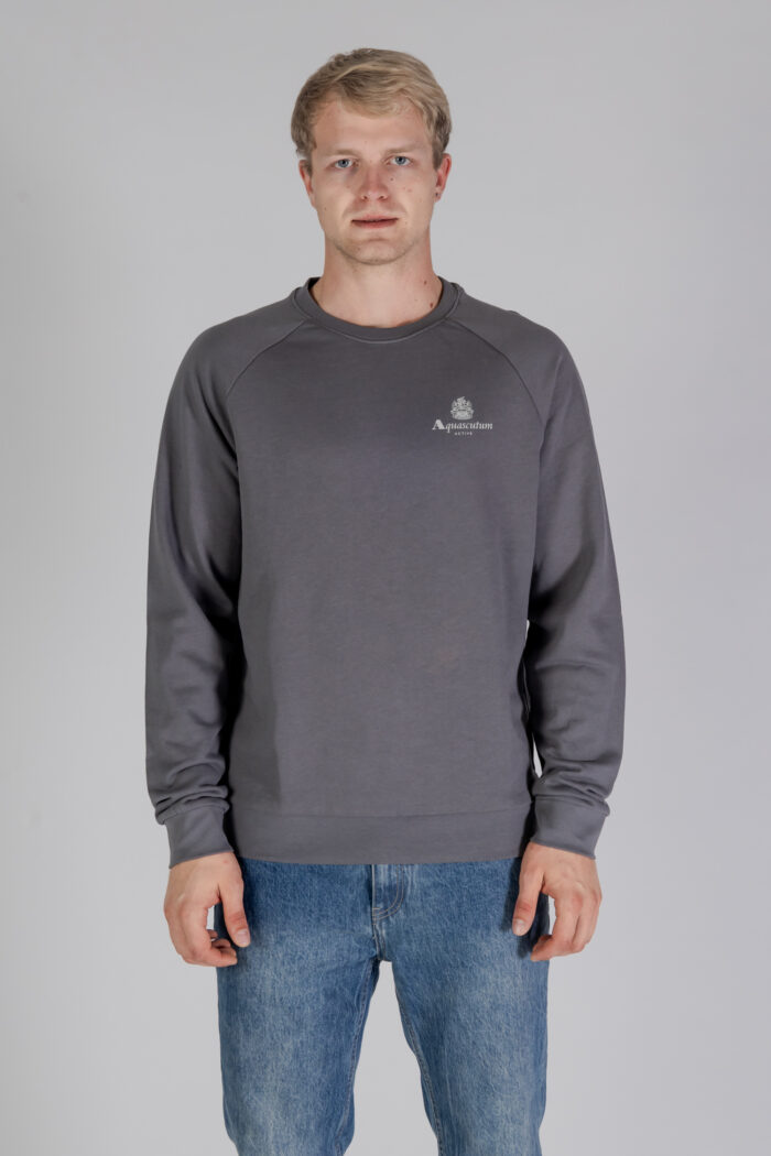 Felpa senza cappuccio Aquascutum ACTIVE SMALL LOGO RAGLAN Antracite