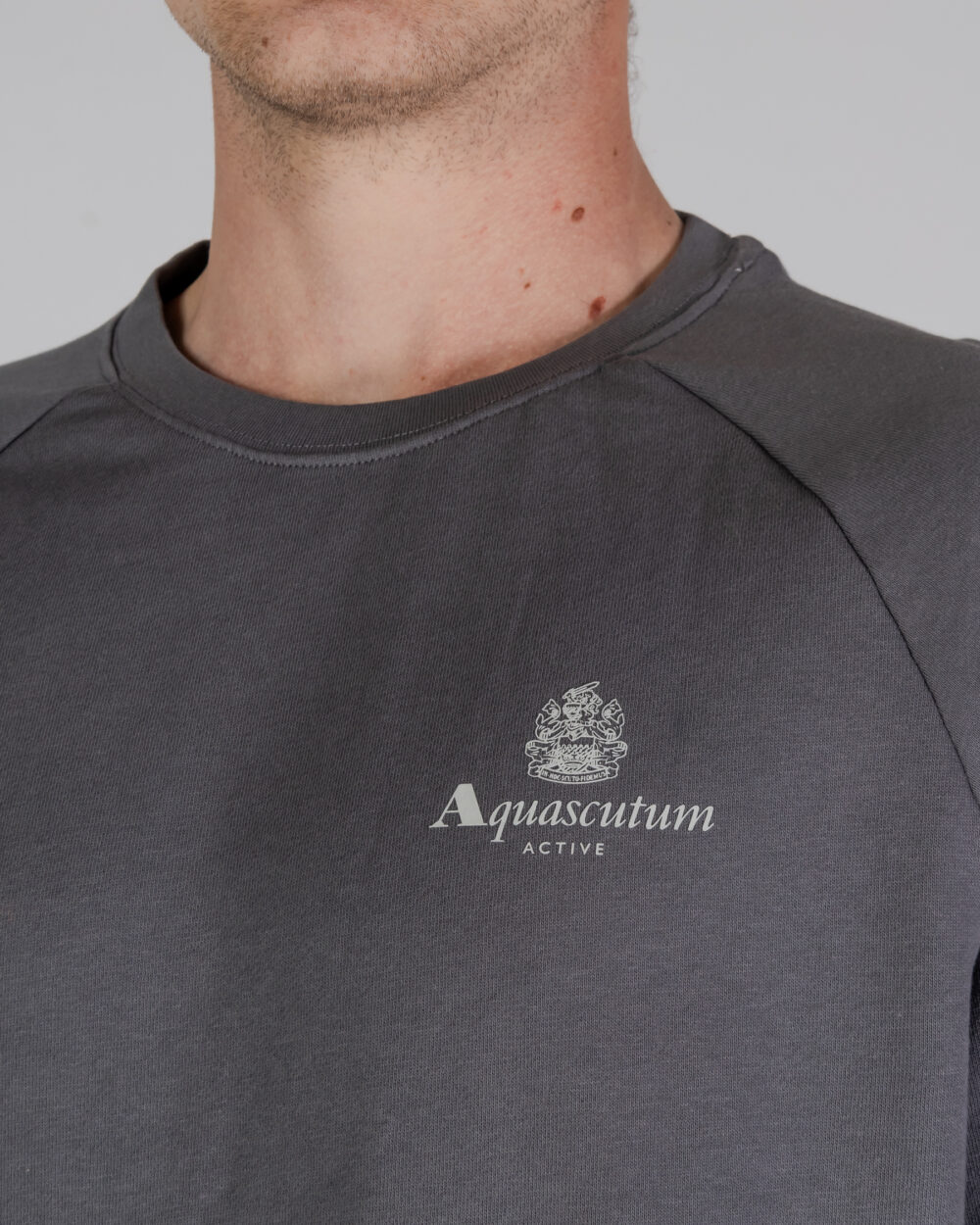 Felpa senza cappuccio Aquascutum ACTIVE SMALL LOGO RAGLAN Antracite - Foto 2