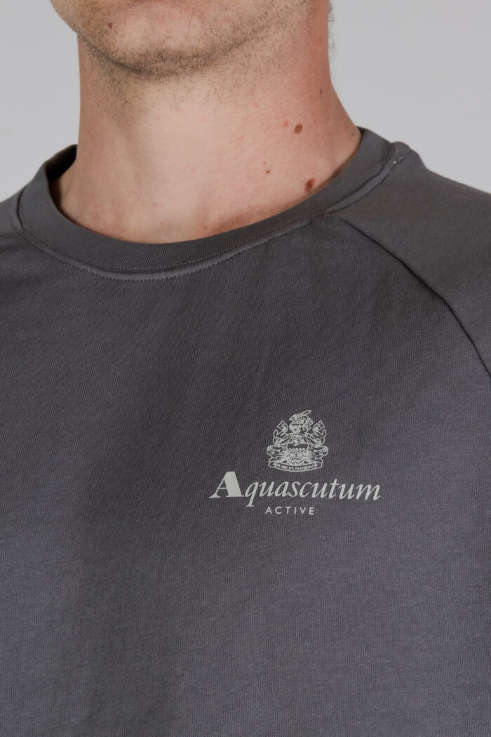 Felpa senza cappuccio Aquascutum ACTIVE SMALL LOGO RAGLAN Antracite