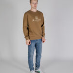 Felpa senza cappuccio Aquascutum ACTIVE BIG LOGO CREWNECK Beige scuro - Foto 2