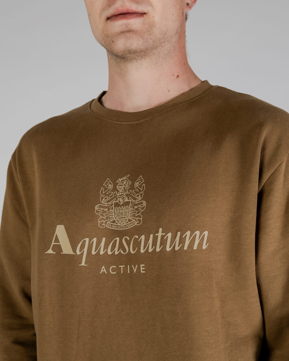 Felpa senza cappuccio Aquascutum ACTIVE BIG LOGO CREWNECK Beige scuro - Foto 4