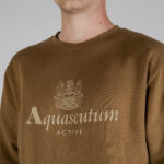 Felpa senza cappuccio Aquascutum ACTIVE BIG LOGO CREWNECK Beige scuro - Foto 4