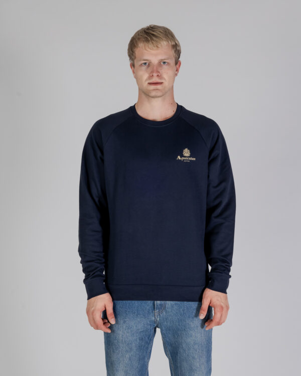 Felpa senza cappuccio Aquascutum ACTIVE SMALL LOGO RAGLAN Blu - Foto 1