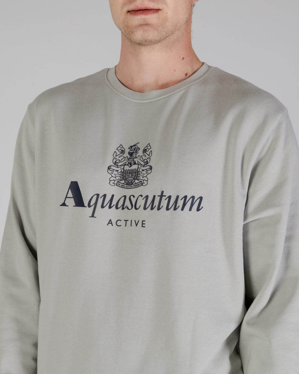 Felpa senza cappuccio Aquascutum ACTIVE BIG LOGO CREWNECK Grigio - Foto 4