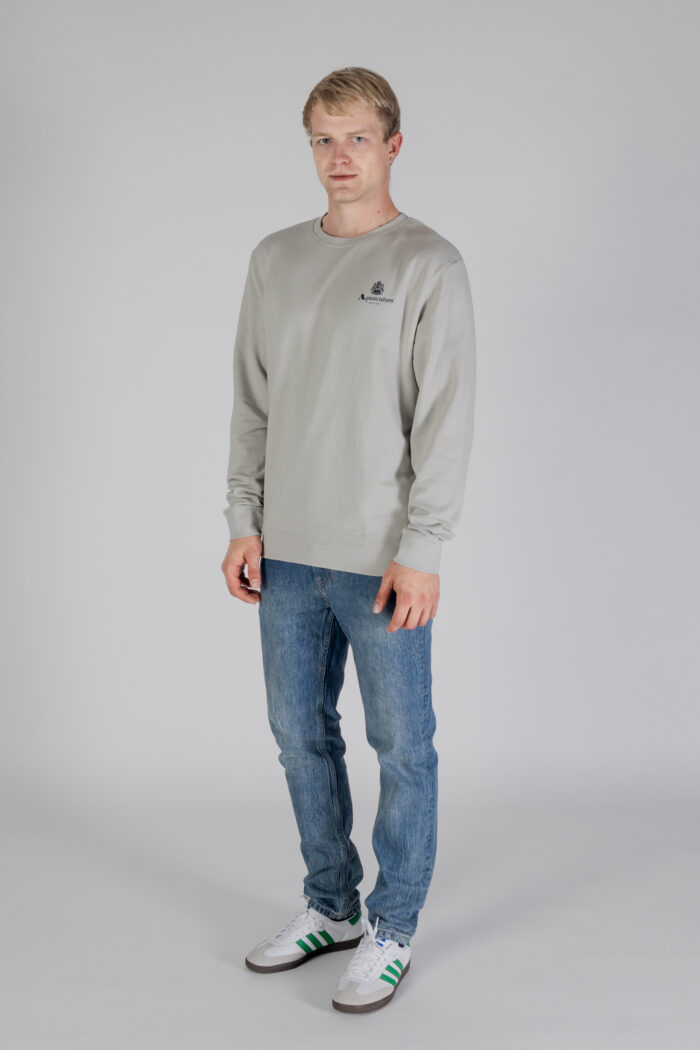 Felpa senza cappuccio Aquascutum ACTIVE SMALL LOGO CREWNECK Grigio