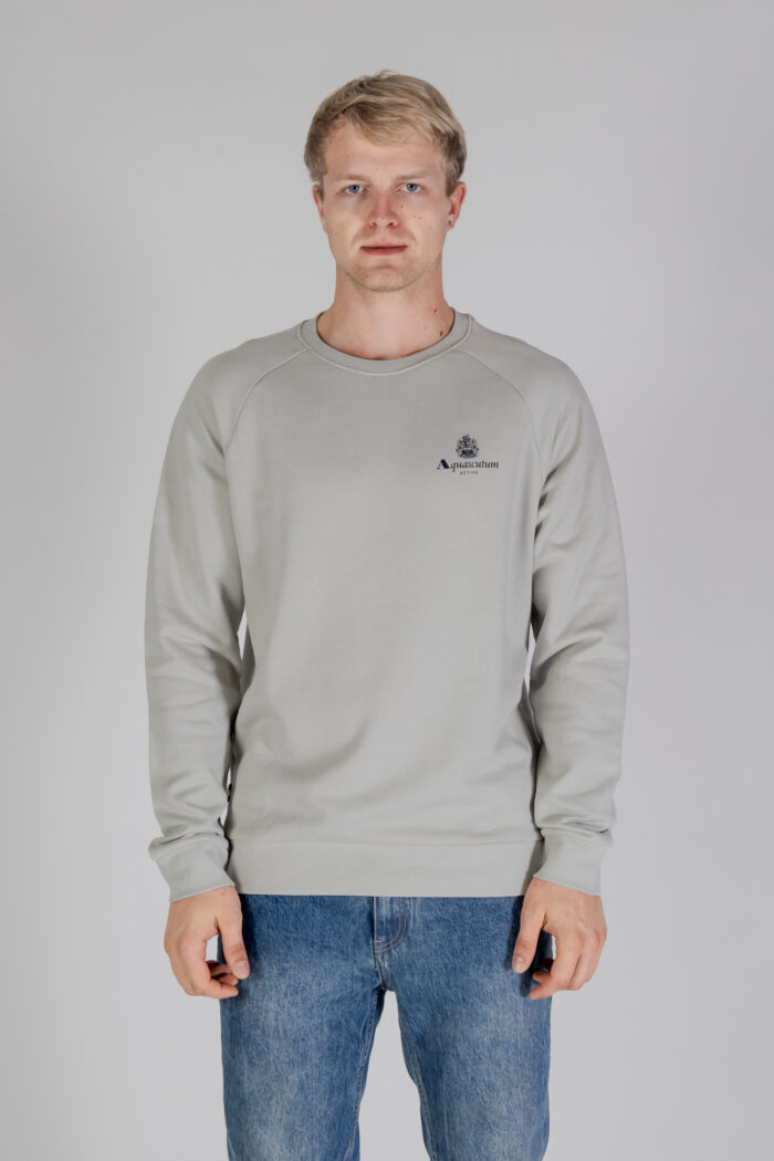 Felpa senza cappuccio Aquascutum ACTIVE SMALL LOGO RAGLAN Grigio