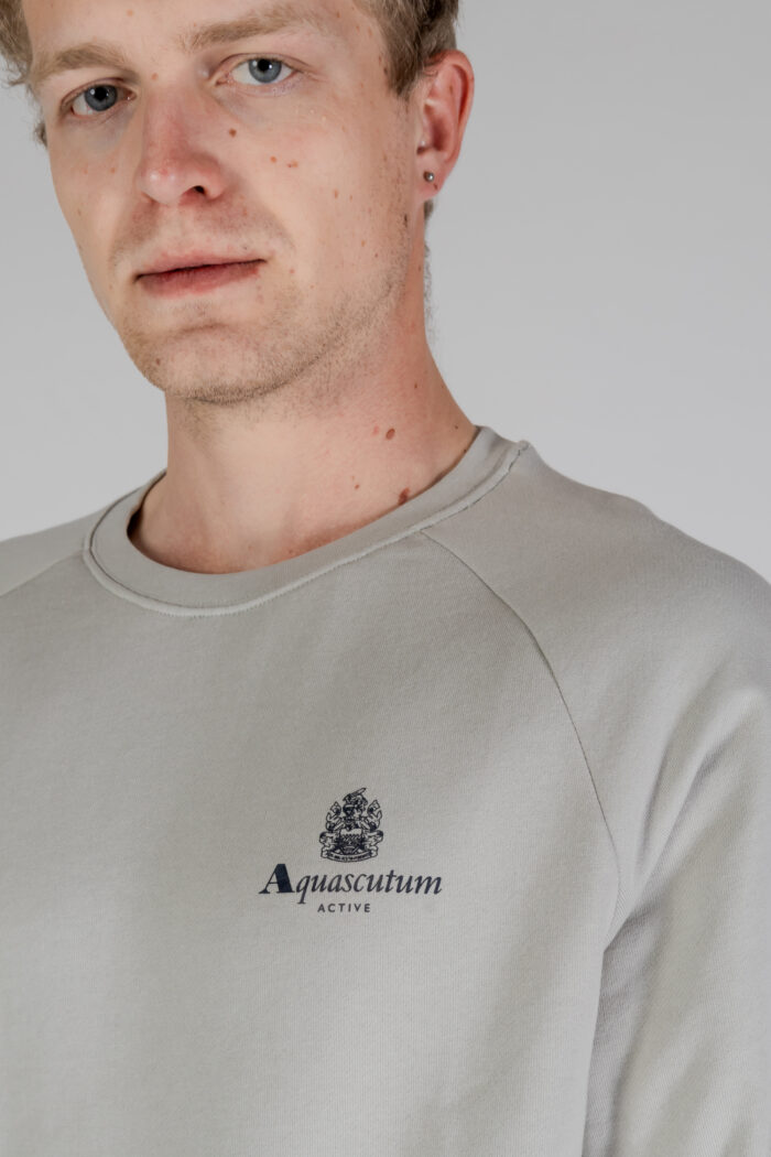 Felpa senza cappuccio Aquascutum ACTIVE SMALL LOGO RAGLAN Grigio