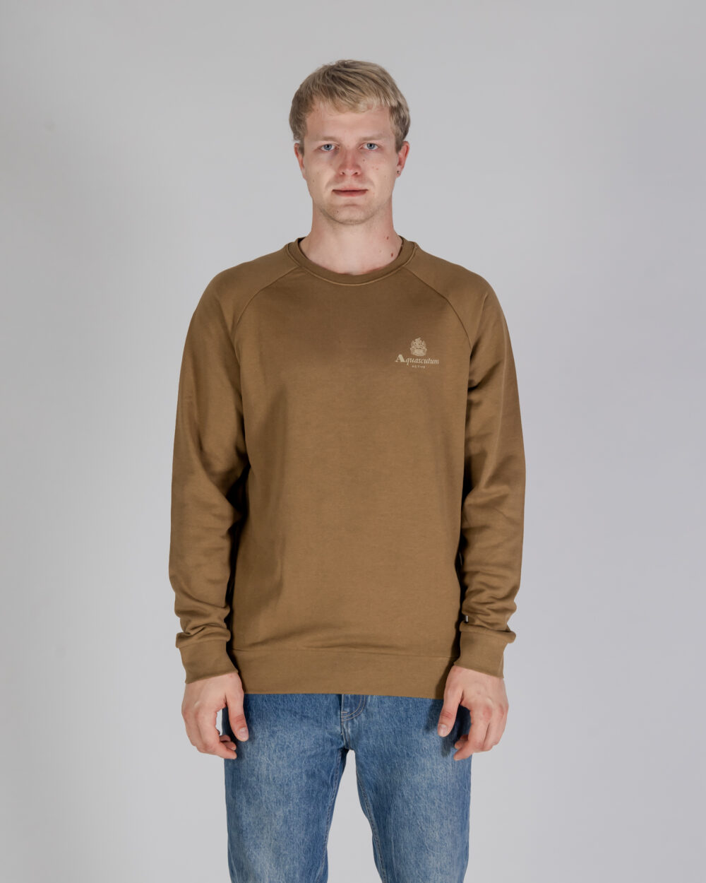 Felpa senza cappuccio Aquascutum ACTIVE SMALL LOGO RAGLAN Marrone - Foto 1